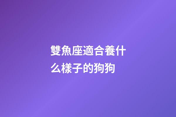 雙魚座適合養什么樣子的狗狗-第1張-星座運勢-玄機派