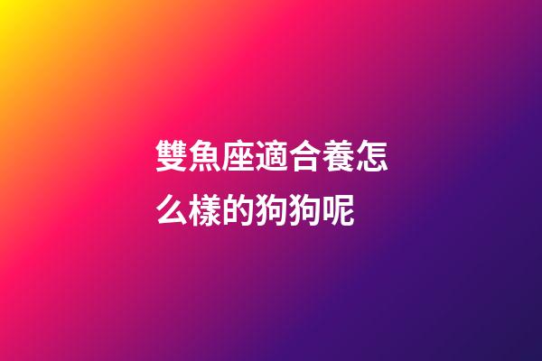 雙魚座適合養怎么樣的狗狗呢-第1張-星座運勢-玄機派