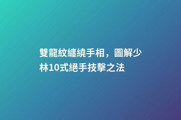 雙龍紋纏繞手相，圖解少林10式絕手技擊之法-第1張-觀點-玄機派