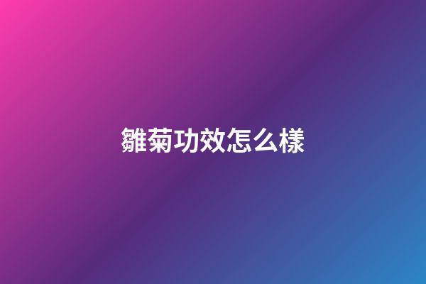 雛菊功效怎么樣