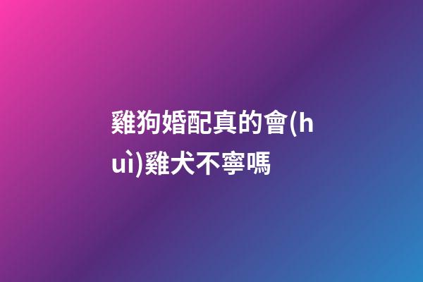雞狗婚配真的會(huì)雞犬不寧嗎