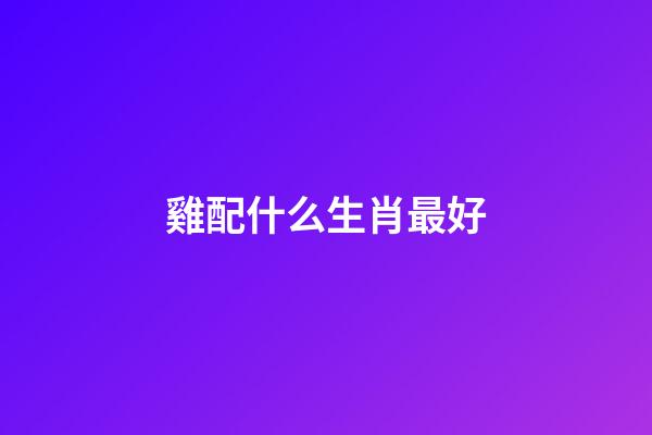 雞配什么生肖最好（屬雞最忌諱的兩個屬相）-第1張-星座運勢-玄機派