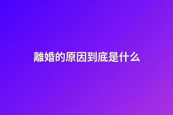 離婚的原因到底是什么