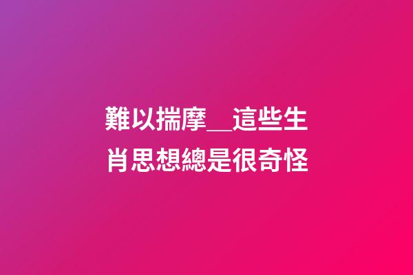 難以揣摩＿這些生肖思想總是很奇怪