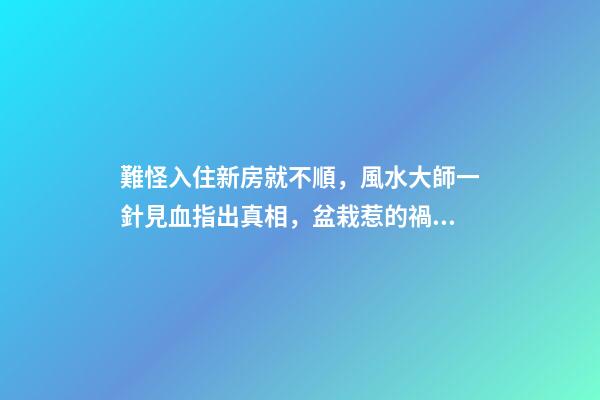 難怪入住新房就不順，風水大師一針見血指出真相，盆栽惹的禍！