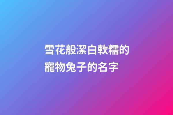 雪花般潔白軟糯的寵物兔子的名字
