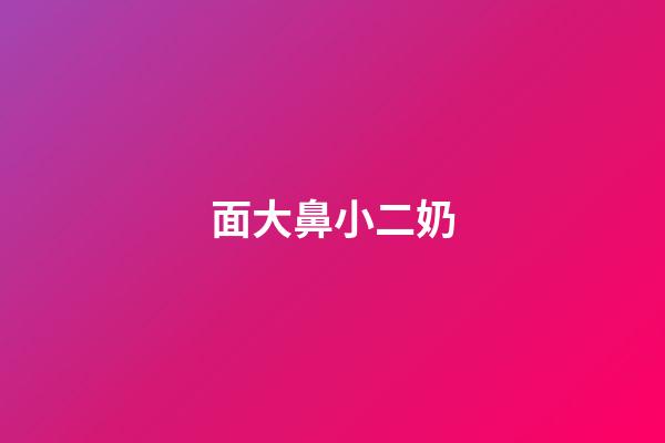 面大鼻小二奶