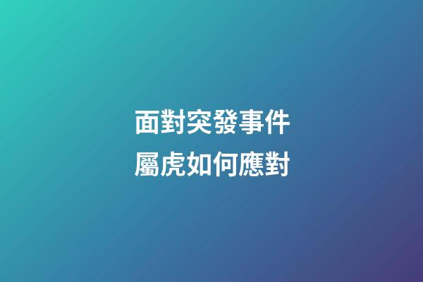 面對突發事件屬虎如何應對