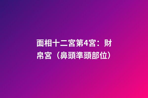 面相十二宮第4宮：財帛宮（鼻頭準頭部位）