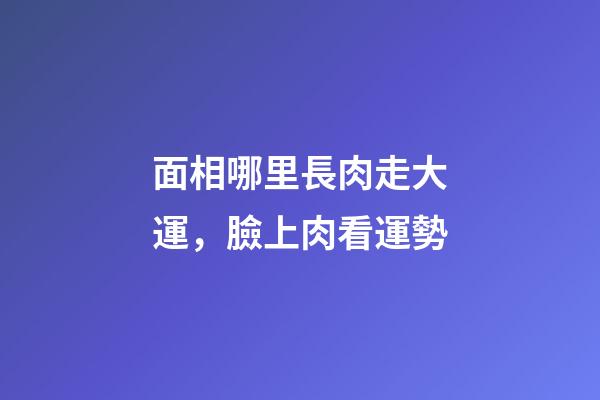 面相哪里長肉走大運，臉上肉看運勢