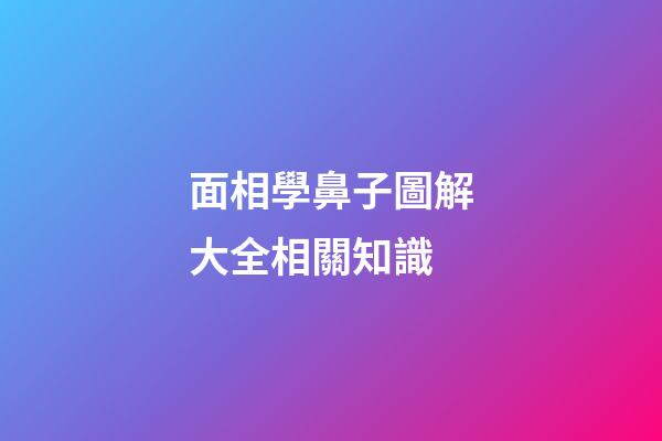 面相學鼻子圖解大全相關知識