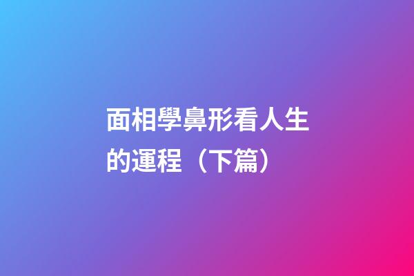 面相學鼻形看人生的運程（下篇）