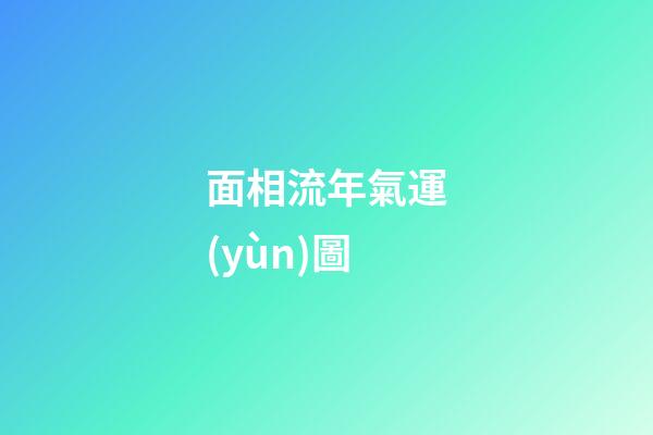 面相流年氣運(yùn)圖