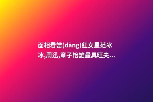 面相看當(dāng)紅女星范冰冰,周迅,章子怡誰最具旺夫運(yùn)