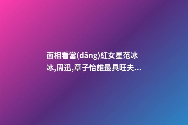 面相看當(dāng)紅女星范冰冰,周迅,章子怡誰最具旺夫運