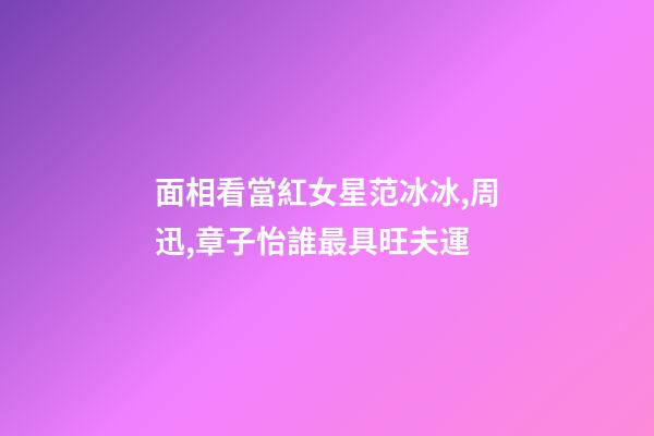 面相看當紅女星范冰冰,周迅,章子怡誰最具旺夫運