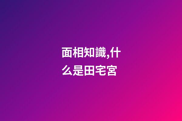 面相知識,什么是田宅宮
