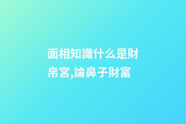面相知識什么是財帛宮,論鼻子財富