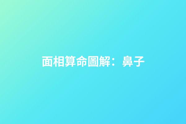 面相算命圖解：鼻子