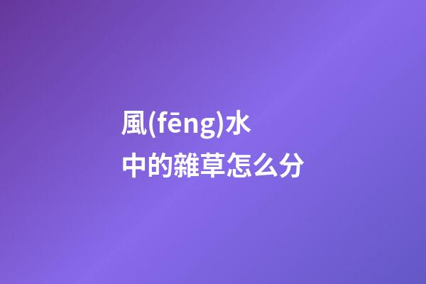 風(fēng)水中的雜草怎么分