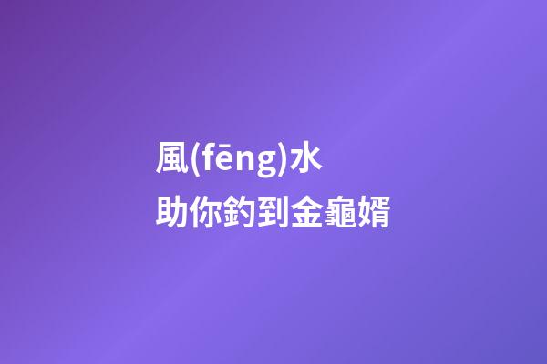 風(fēng)水助你釣到金龜婿