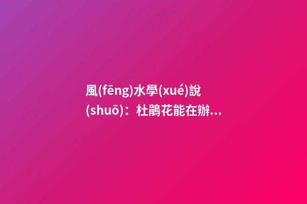 風(fēng)水學(xué)說(shuō)：杜鵑花能在辦公室養(yǎng)嗎？