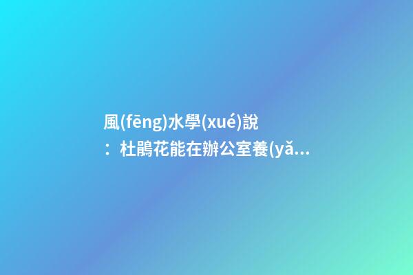 風(fēng)水學(xué)說：杜鵑花能在辦公室養(yǎng)嗎？