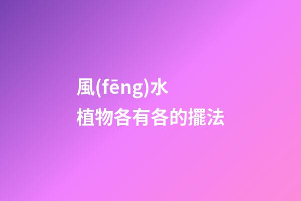 風(fēng)水植物各有各的擺法