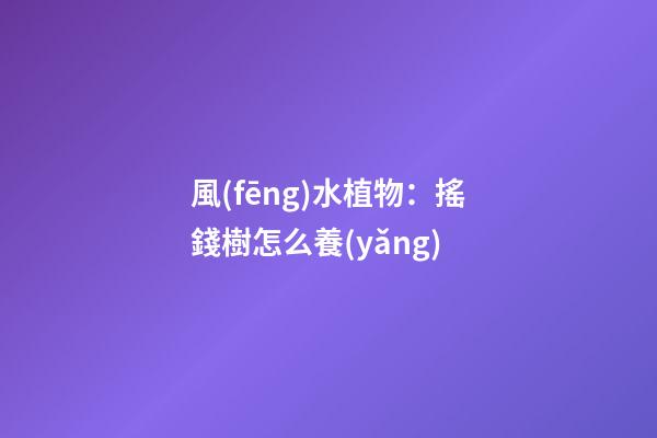 風(fēng)水植物：搖錢樹怎么養(yǎng)