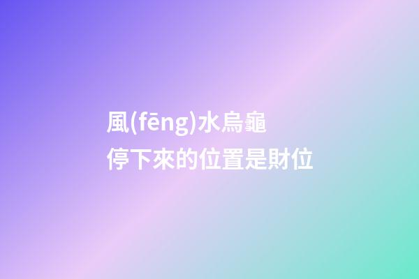 風(fēng)水烏龜停下來的位置是財位