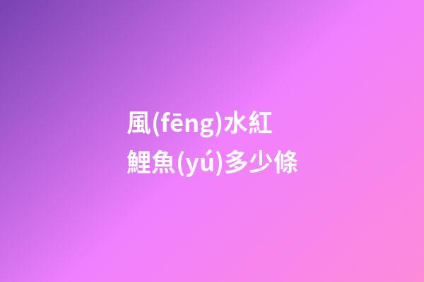 風(fēng)水紅鯉魚(yú)多少條