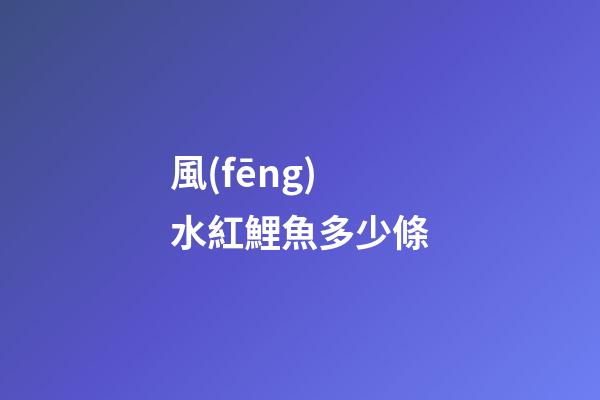 風(fēng)水紅鯉魚多少條