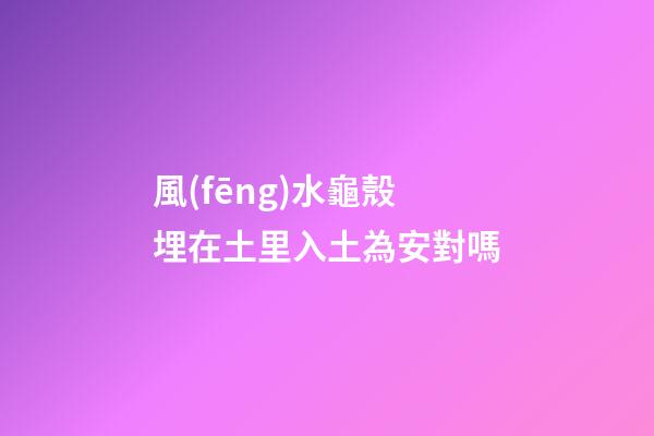 風(fēng)水龜殼埋在土里入土為安對嗎