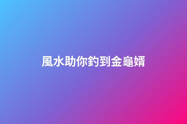 風水助你釣到金龜婿