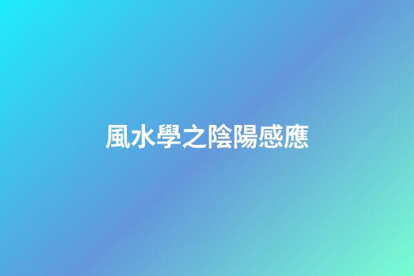 風水學之陰陽感應