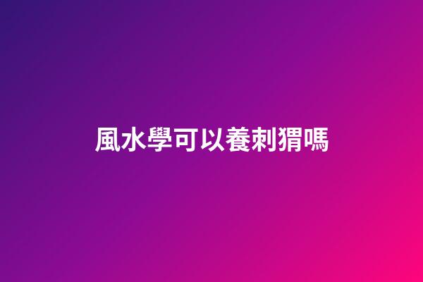 風水學可以養刺猬嗎