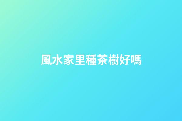 風水家里種茶樹好嗎
