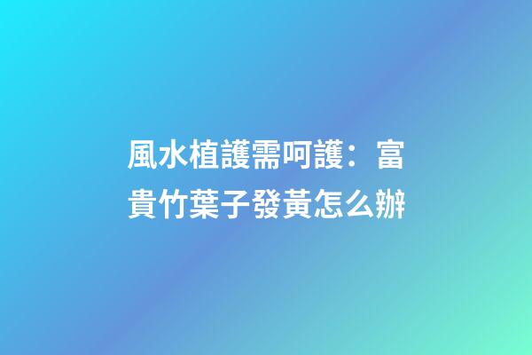 風水植護需呵護：富貴竹葉子發黃怎么辦