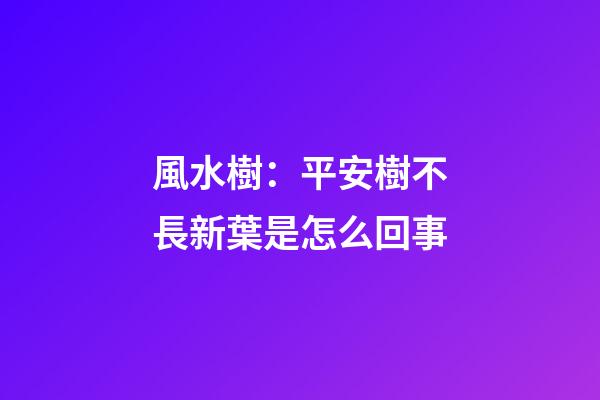 風水樹：平安樹不長新葉是怎么回事