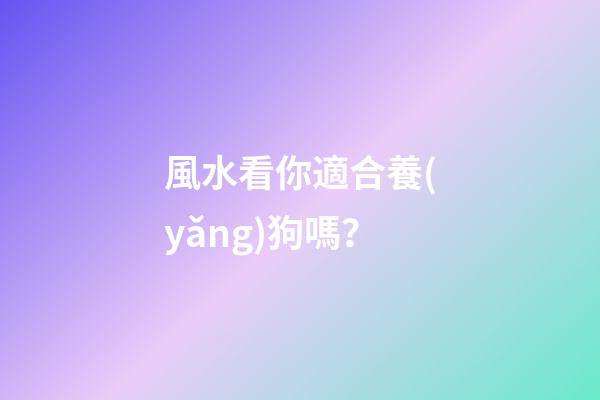 風水看你適合養(yǎng)狗嗎？