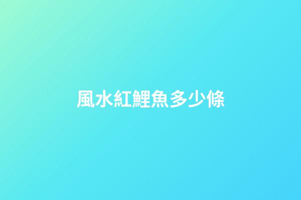 風水紅鯉魚多少條