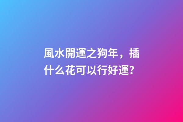 風水開運之狗年，插什么花可以行好運？