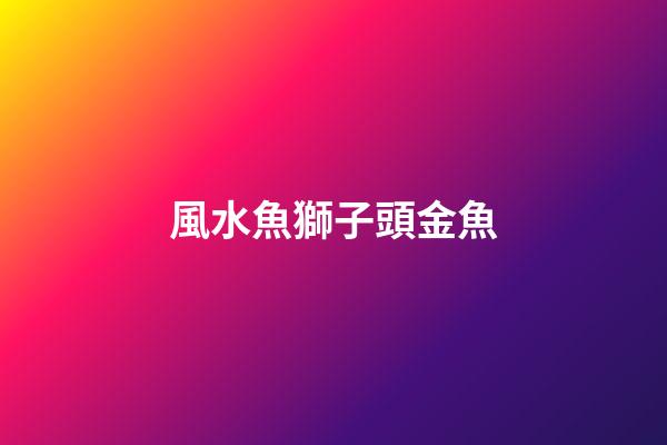 風水魚獅子頭金魚