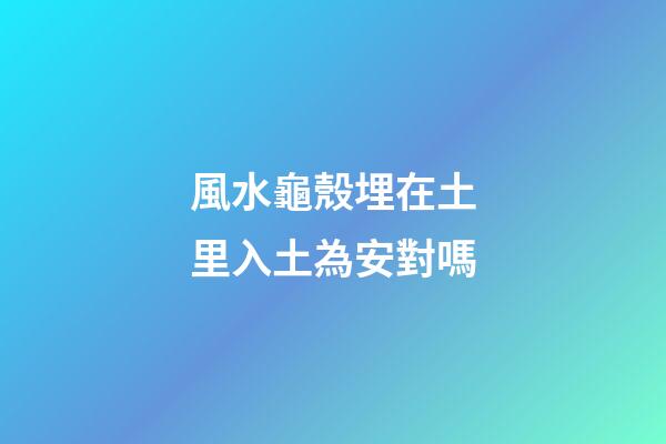 風水龜殼埋在土里入土為安對嗎