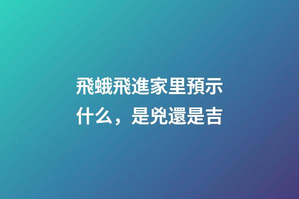 飛蛾飛進家里預示什么，是兇還是吉
