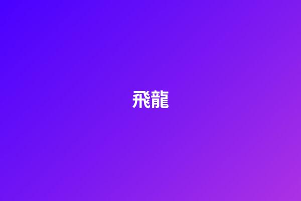 飛龍