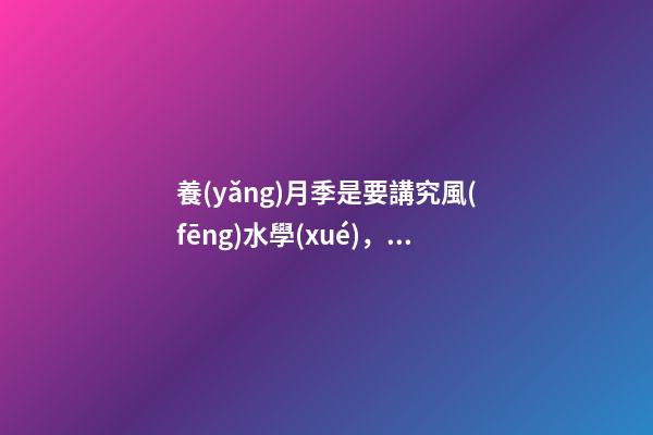 養(yǎng)月季是要講究風(fēng)水學(xué)，四大禁忌記心中