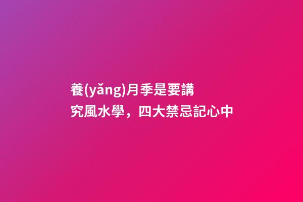 養(yǎng)月季是要講究風水學，四大禁忌記心中