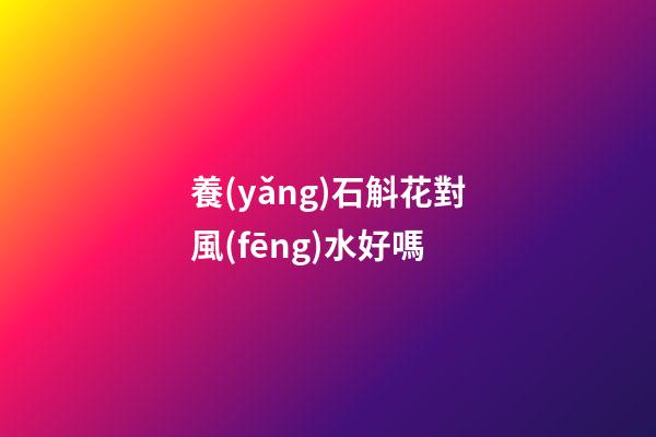 養(yǎng)石斛花對風(fēng)水好嗎