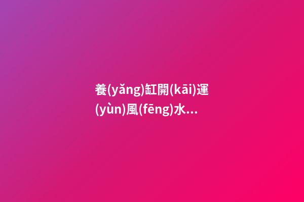 養(yǎng)缸開(kāi)運(yùn)風(fēng)水魚(yú)竅門(mén)